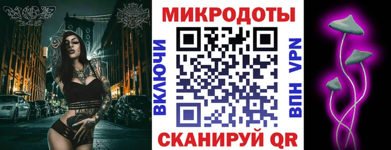 сколько стоит  Луга  Псилоцибиновые грибы Cubensis 