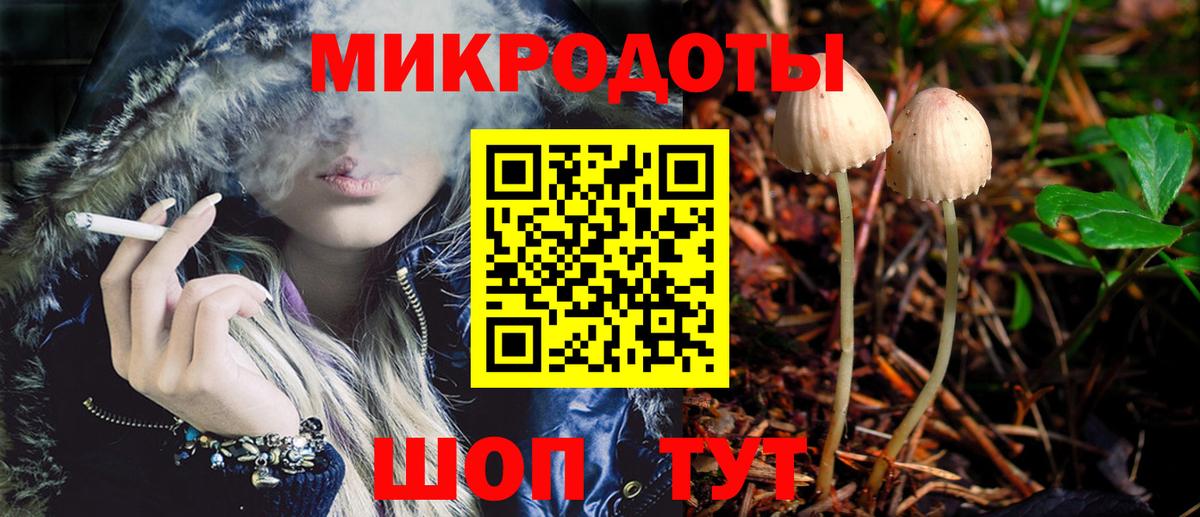 Псилоцибиновые грибы GOLDEN TEACHER Луга