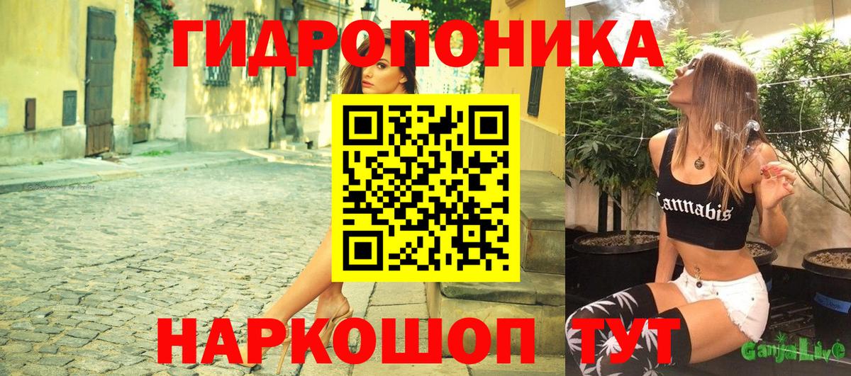 Шишки марихуана сатива Луга